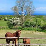Bed and Breakfast Les Deux Caps Carneville