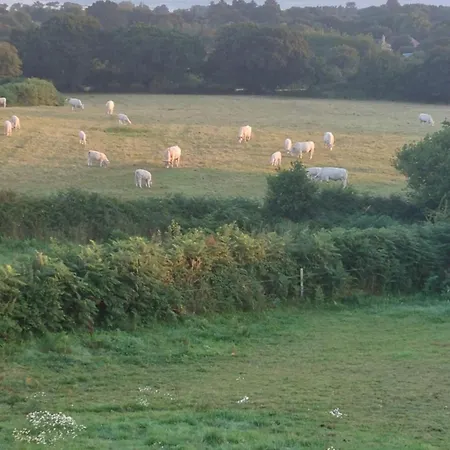 Alojamento de Acomodação e Pequeno-almoço Les Deux Caps