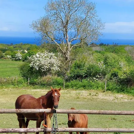 Alojamento de Acomodação e Pequeno-almoço Les Deux Caps Carneville