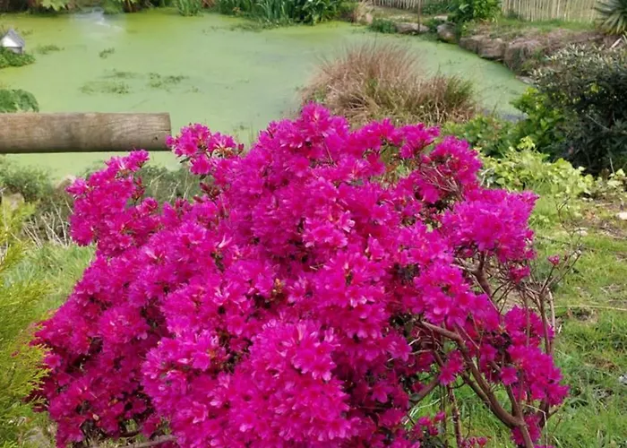 Les Deux Caps Oda ve Kahvaltı