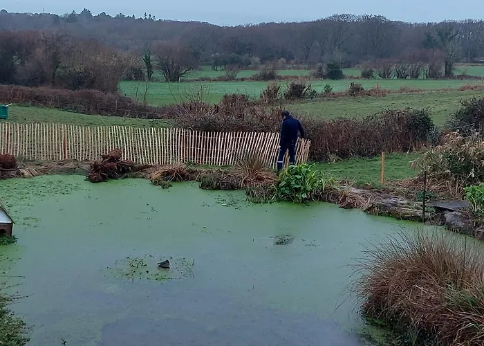 Les Deux Caps Oda ve Kahvaltı Carneville