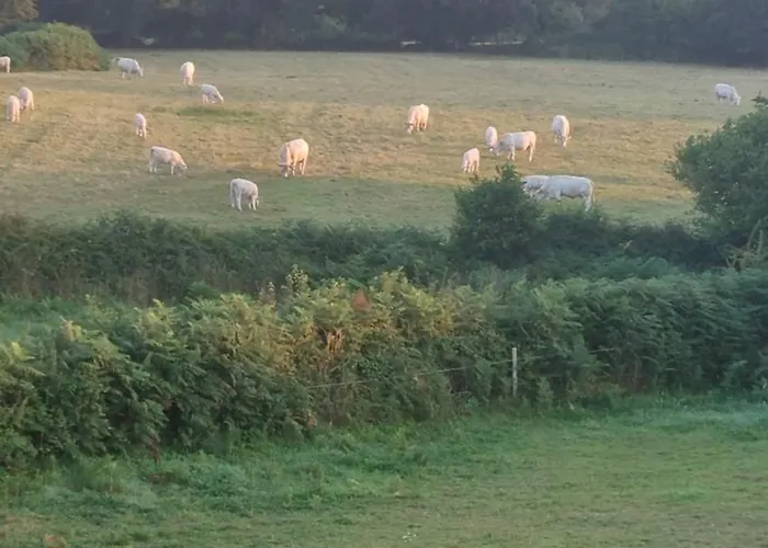 Oda ve Kahvaltı Les Deux Caps