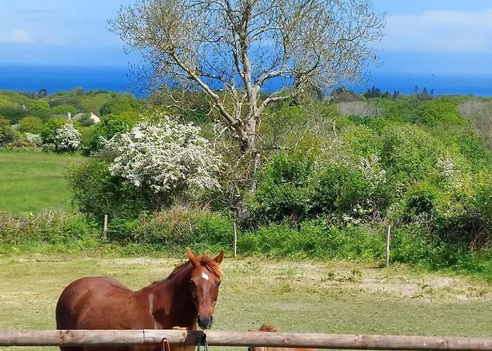 Bed & Breakfast Les Deux Caps Carneville